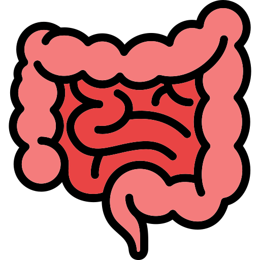 Icon of large bowel to highlight that large bowel diseases can be prevented by a Mediterranean diet