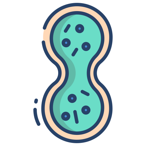 Diagram of a dividing cell