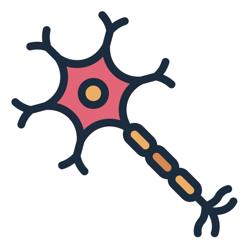 Diagram of a nerve cell