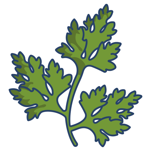 Diagram of parsley