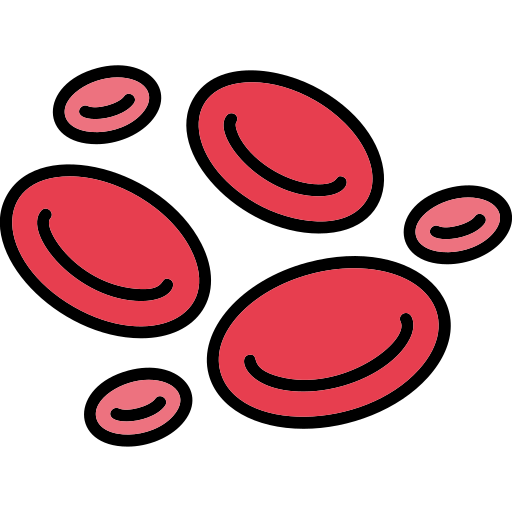 Image of red blood cells, which carry hemoglobin around the body