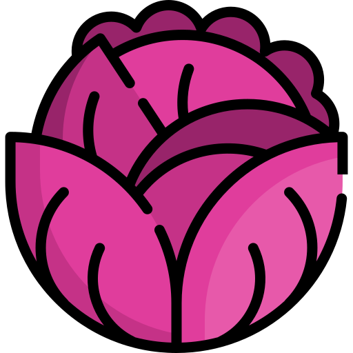 Diagram of red cabbage