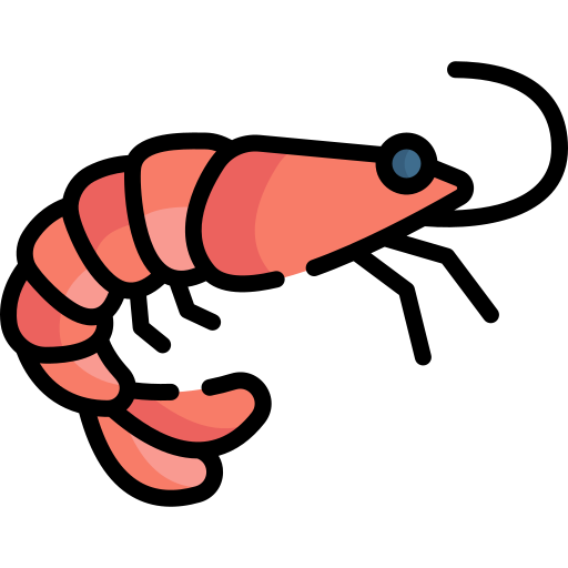 Diagram of a shrimp (prawn)
