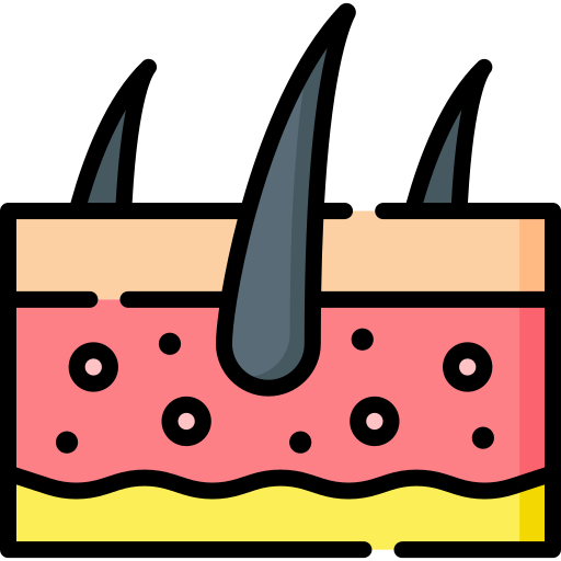 Icon of skin to highlight that certain skin diseases can be prevented by a Mediterranean diet