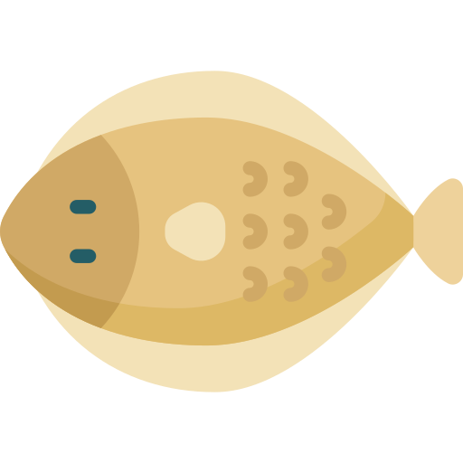 Diagram of a flatfish