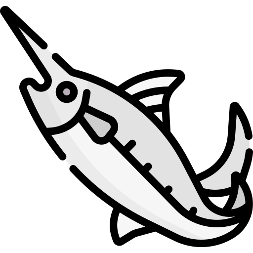Diagram of swordfish