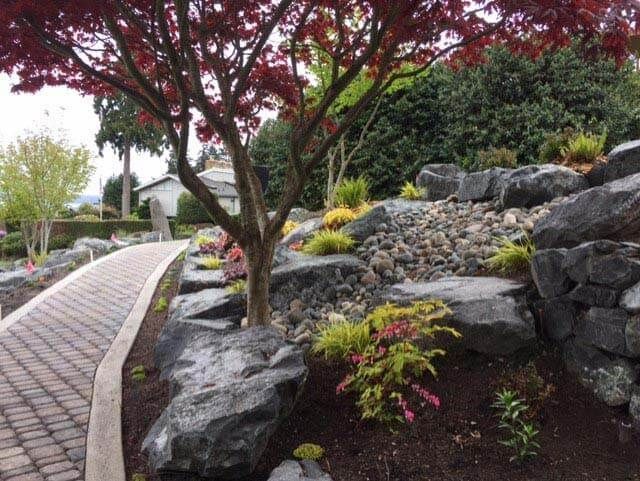 Brick path beside landscaped garden with red-leaf tree, rocks, and shrubs