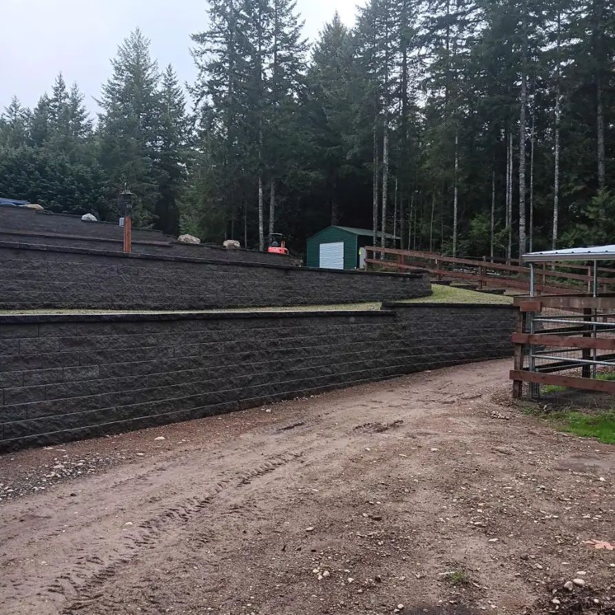 Gravel path beside dark stone terraces in a forested hillside with stacked wood and a small green shed