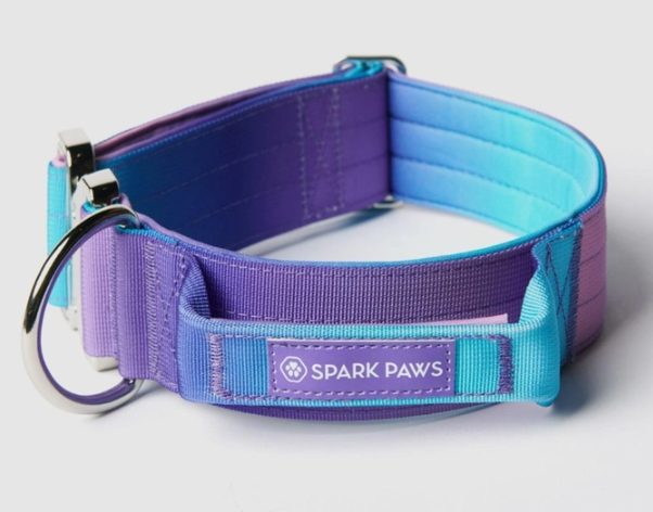 Spark Paws dog collar-Retro 90s 2