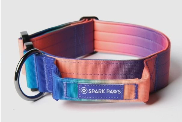 Spark Paws Kaleidoscope Tactical Collar (2