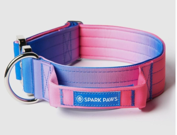 Spark Paws  tactical dog collar-Snow Cone 2