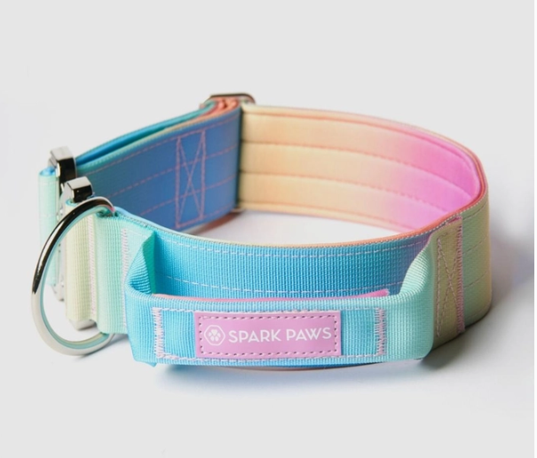 Spark Paws Pastel Icing Tactical Collar 2
