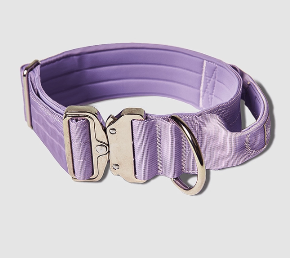 Spark Paws Lilac Tactical Collar 2