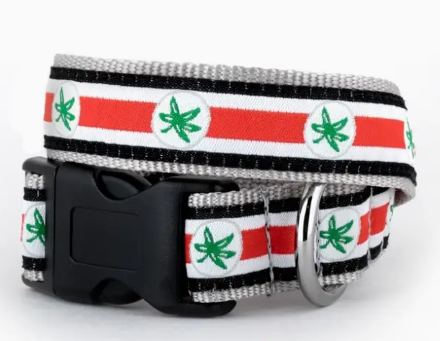 Buckeye Leaf dog collar