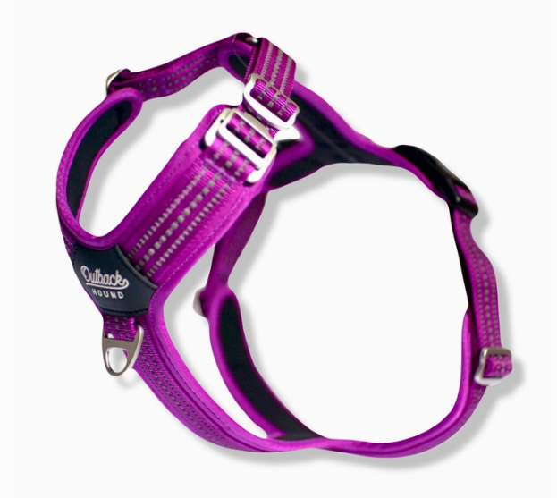 Outback Hound Purple Harness