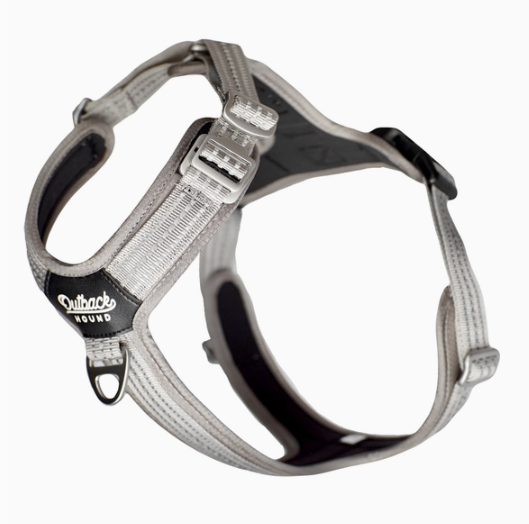 Outback Hound Silver Harness