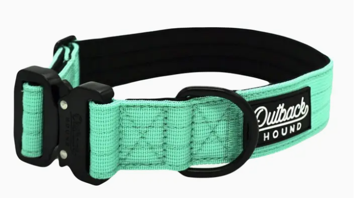 Outback Hound Mint Premium Dog Collar
