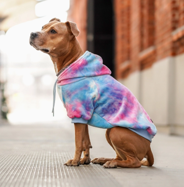 Velvet Dog Hoodie-Snow Cone