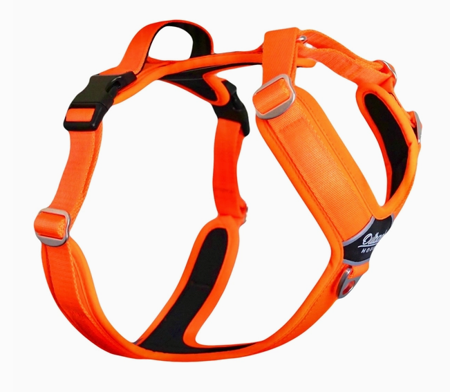 Outback Hound Hunter Orange Harness