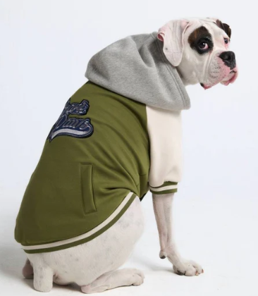 Spark Paws Varsity Jacket-Olive Green, White and Gray