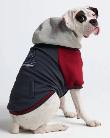 Spark Paws Varsity Jacket-Red, Black and gray