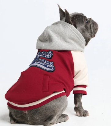 Spark Paws Varsity Jacket-Red. White and Gray