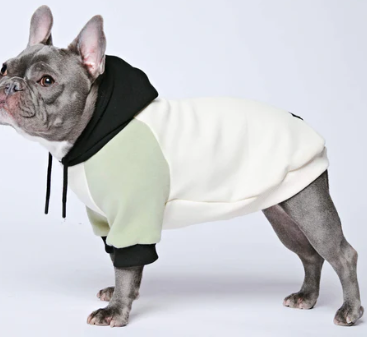 Olive Cream Dog Hoodie