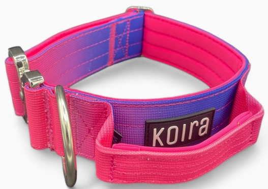 Koira Pink to Purple Tactical Collar