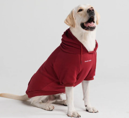 Burgundy Dog Hoodie