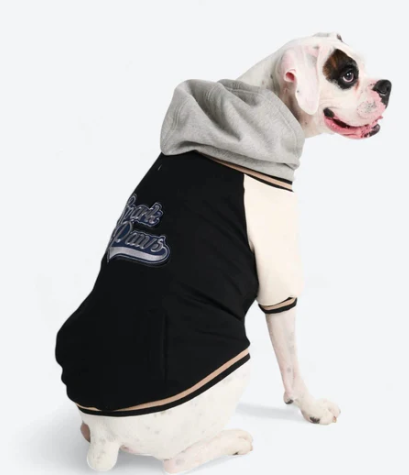 Spark Paws Varsity Jacket-Black, gray and white