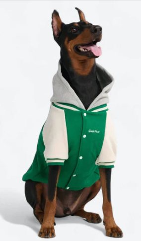 Spark Paws Varsity Jacket