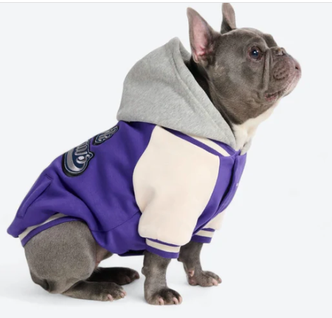 Spark Paws Varisty Jacket