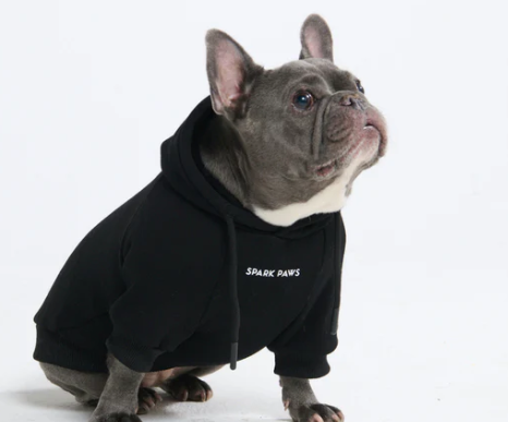 Essential Dog Hoodie-Black
