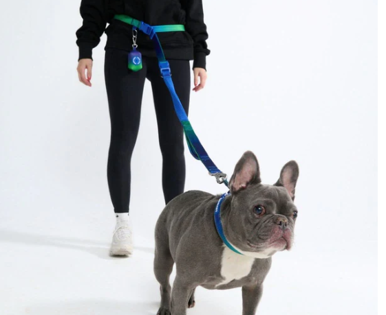 Multipurpose Handsfree Leash, Seatbelt and Poop Bag Holder-Lime Wave
