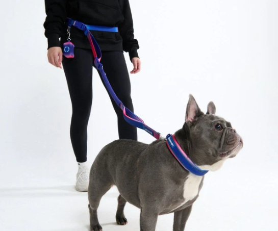 Multipurpose Handsfree Leash, Seatbelt and Poop Bag Holder-Snow Cone