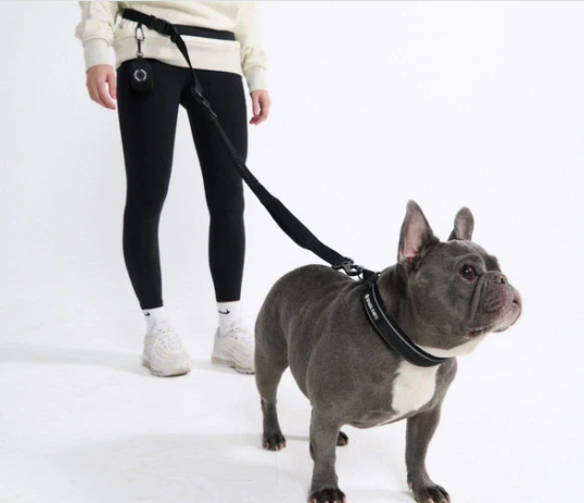 Multipurpose Handsfree Leash, Seatbelt and Poop Bag-Black