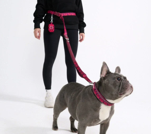 Multipurpose Handsfree Leash, Seatbelt and Poop Bag Holder-Fushia Camo