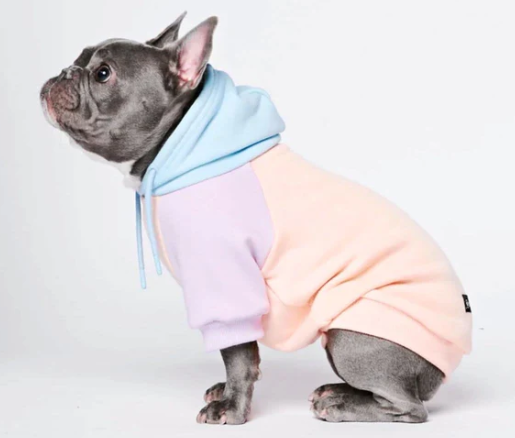 Cotton Candy Dog Hoodie