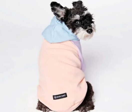 Cotton Candy Dog Hoodie