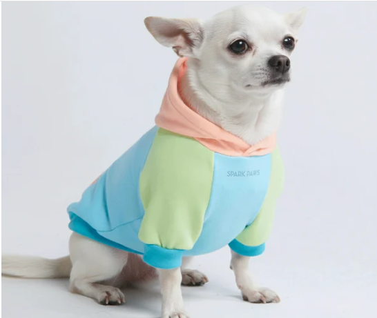 Jelly Bean Dog Hoodie