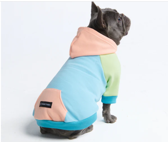 Jelly Bean Dog Hoodie