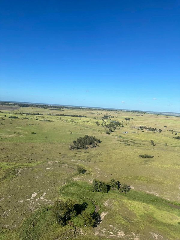 An Aerial View Of A Grassy Field With Trees And A Blue Sky — Brown & Co Finance in Toowoomba, QLD