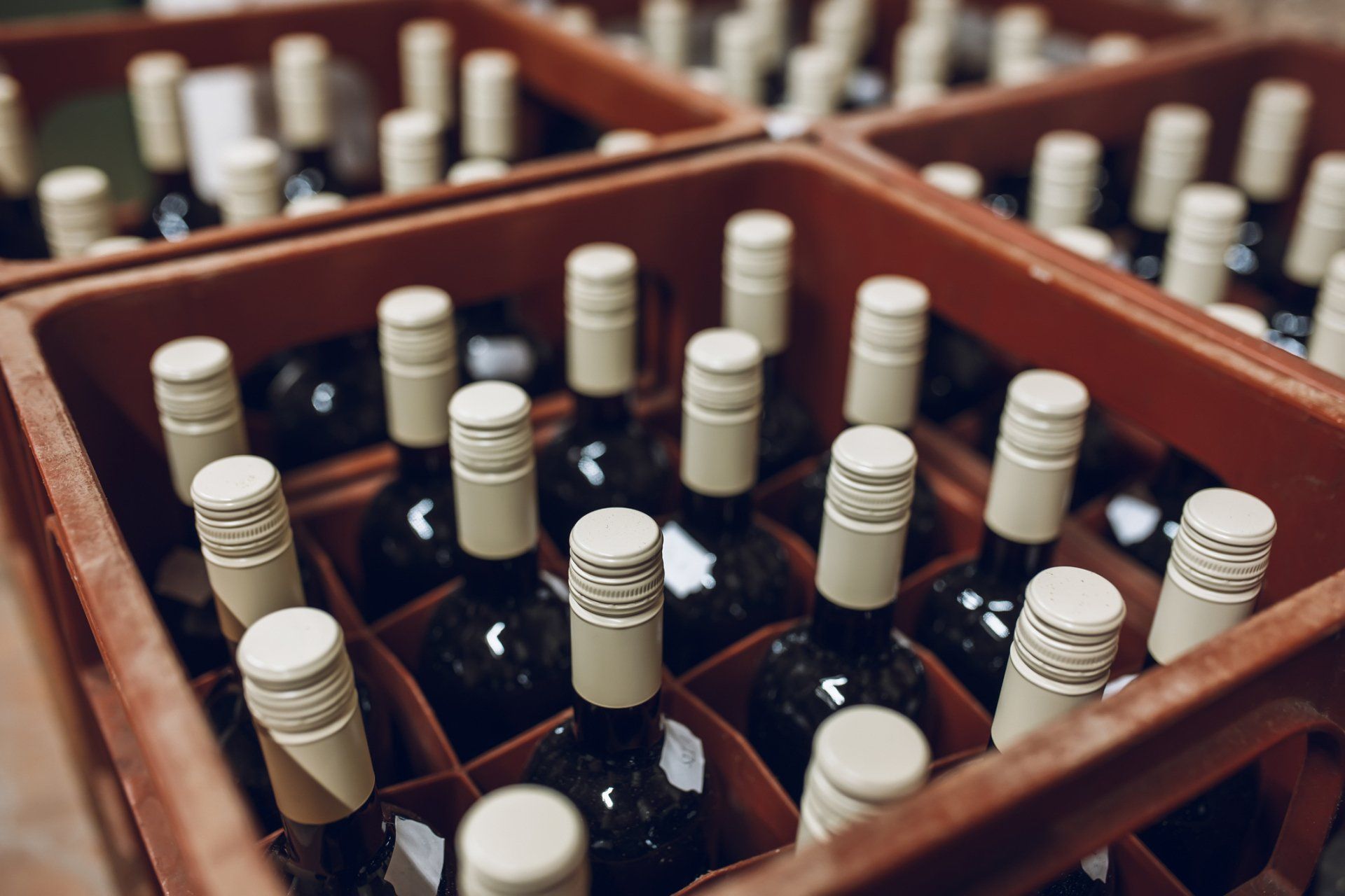 florida wine suppliers