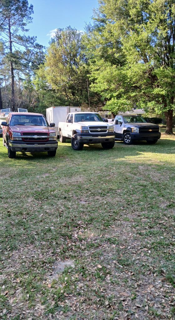 Three pickup trucks parked on grass in a wooded area on a sunny day