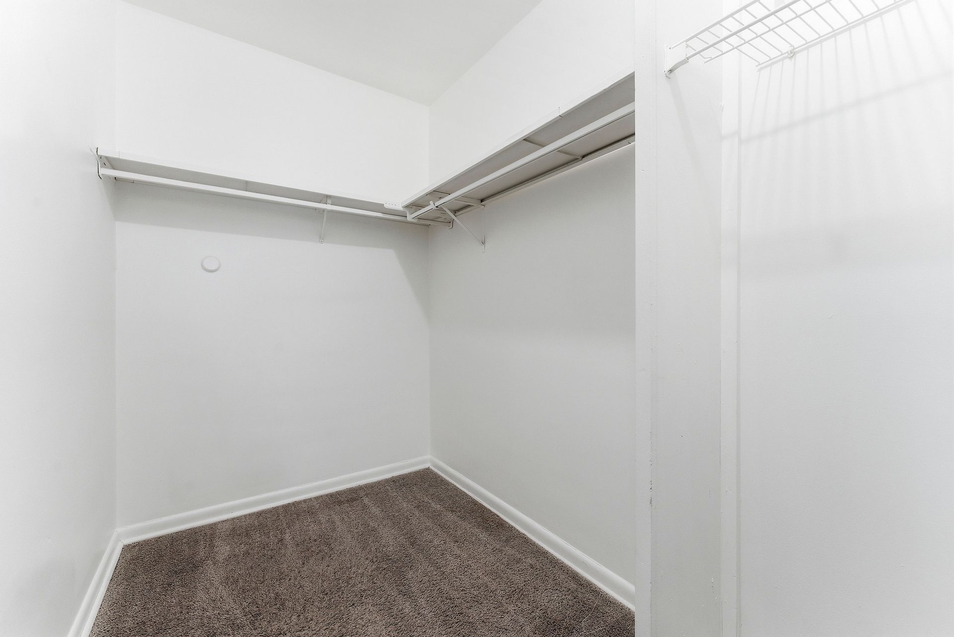 Empty white walk-in closet with carpeted floor and hanging rods