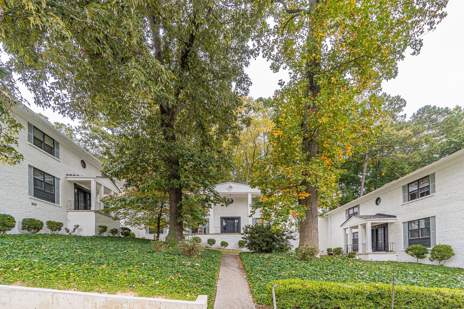 Tree-lined walkway between two white apartment buildings with ivy-covered ground and a central path