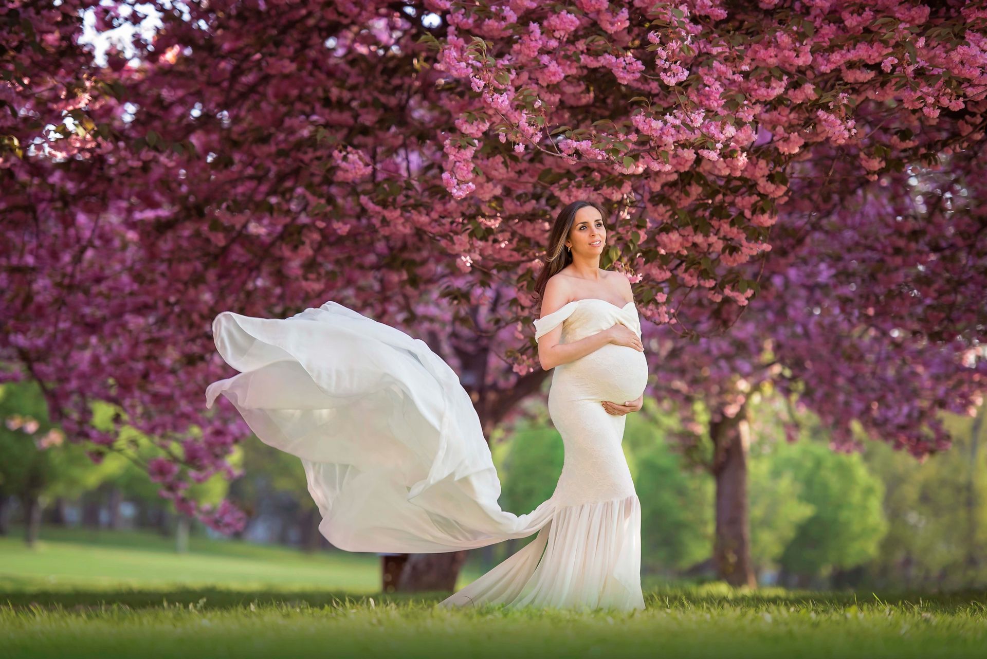 Pregnant woman in white dress, holding her belly, stands under pink cherry blossoms.