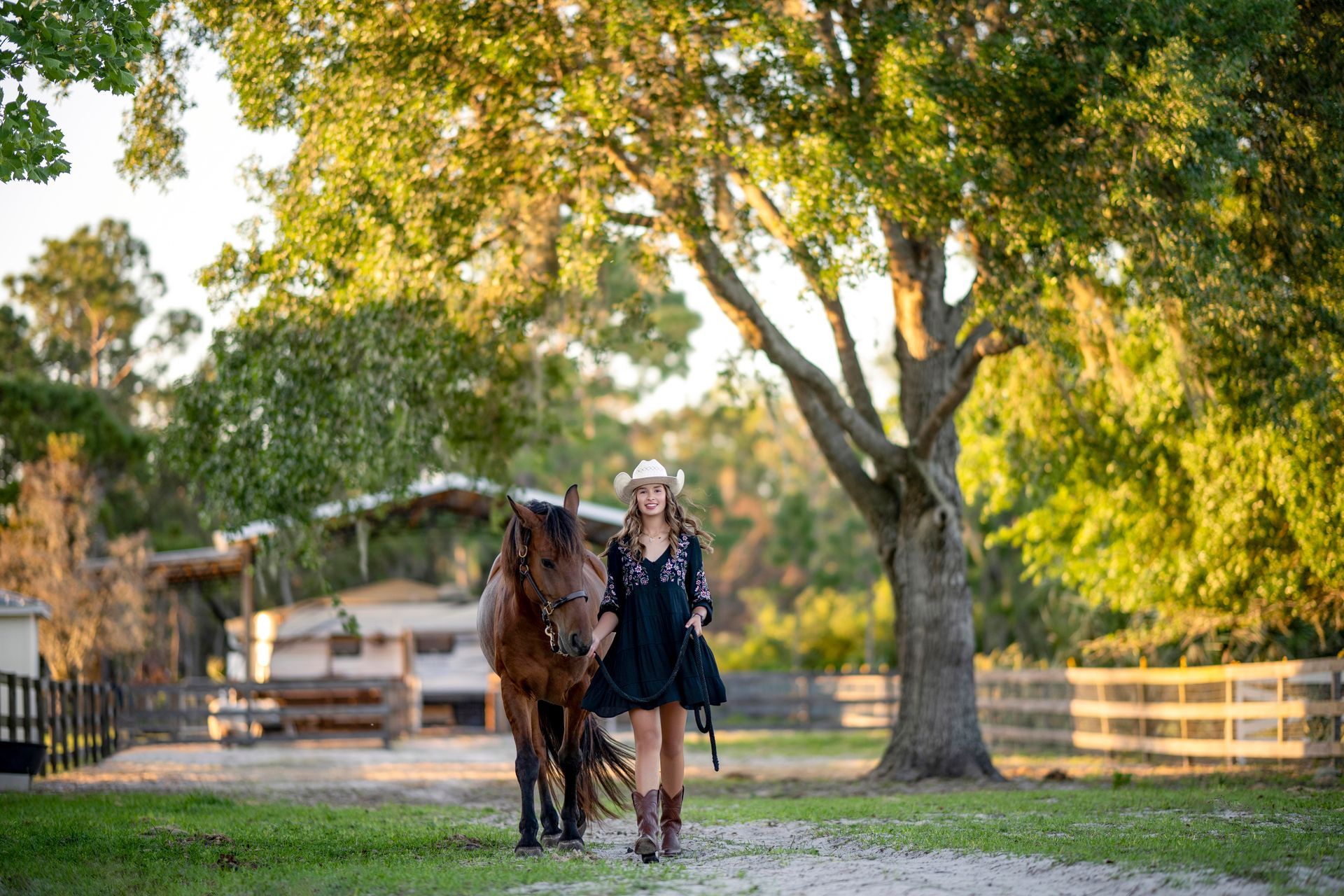 Person leading a horse along a tree-lined path at sunset on a farm or ranch