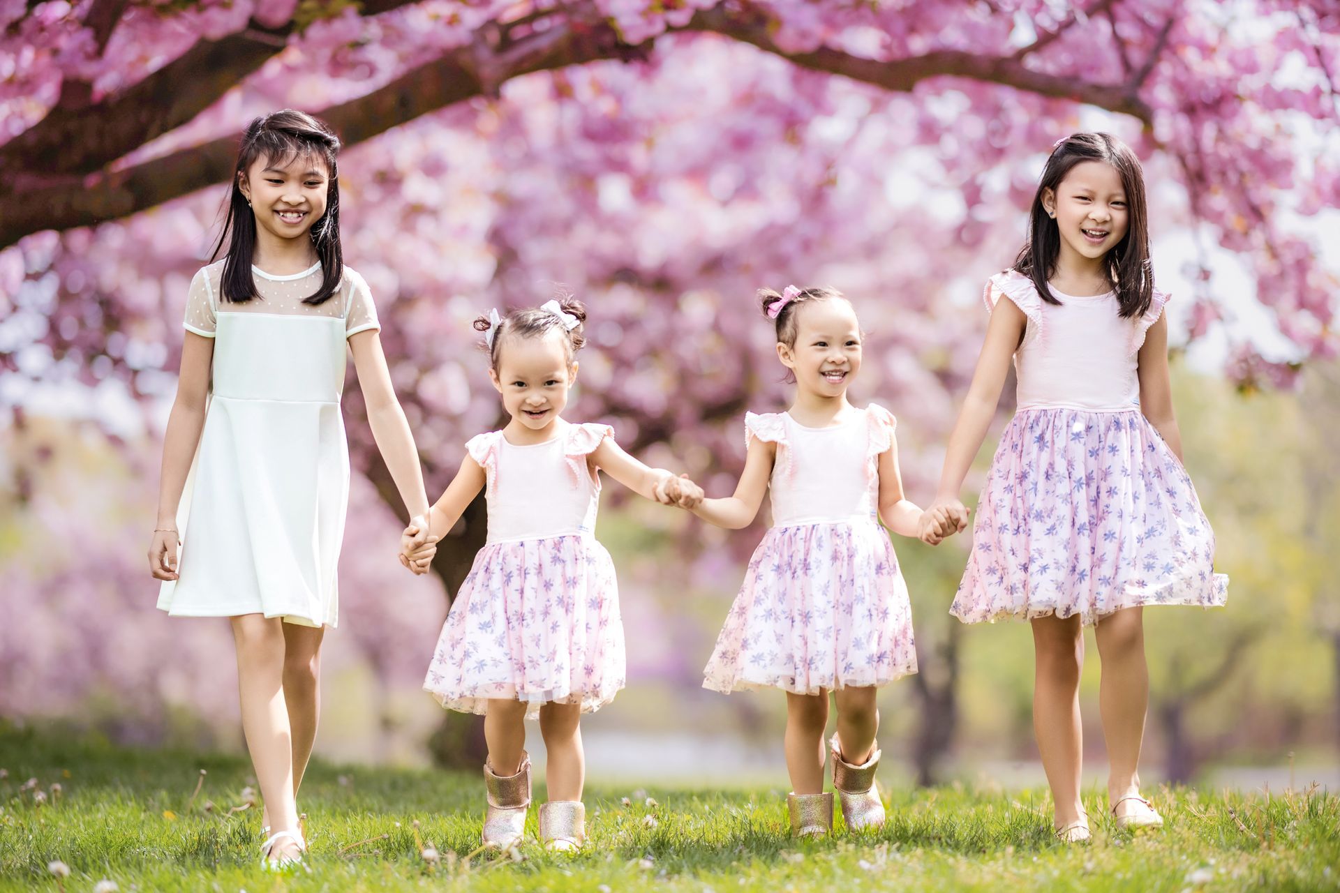 Four children holding hands in a grassy park beneath pink cherry blossoms