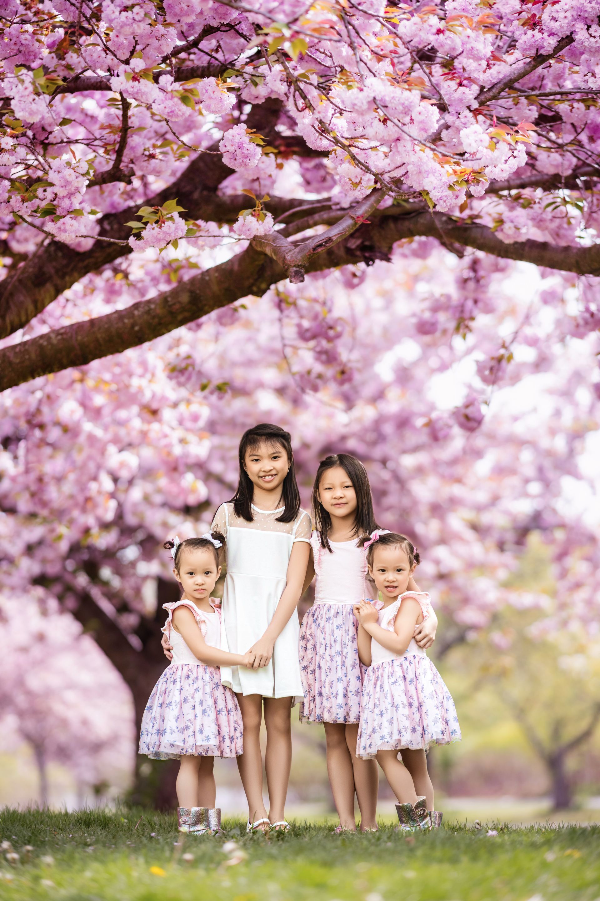 Four children standing under pink cherry blossom trees in a park